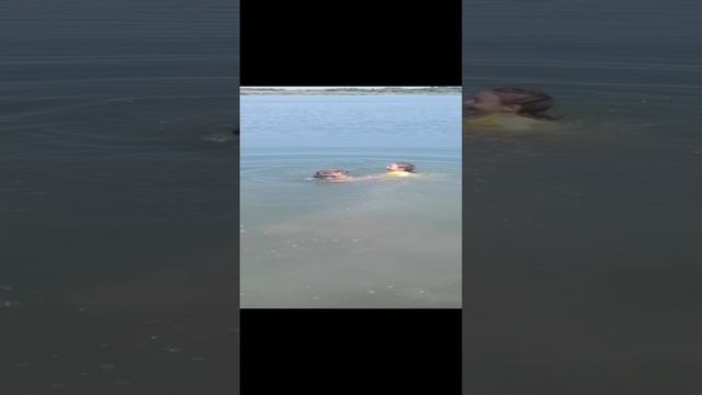 VID_20240820_134851.mp4