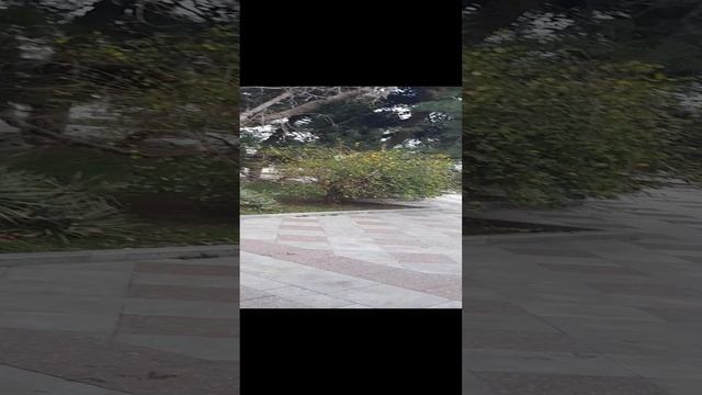 Зимняя Ялта.