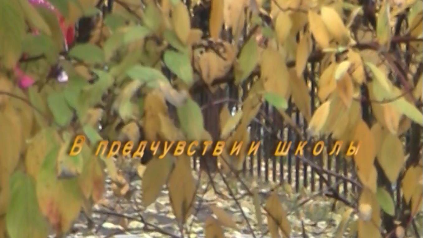 "В предчувствии школы"