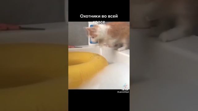 Охотники во всей красе