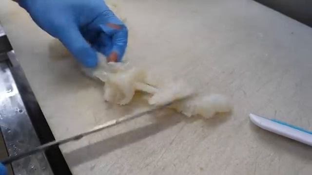Коллекция японских и вьетнамских морепродуктов