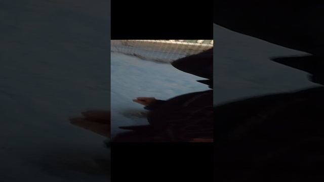 Не трансляция famous Витя 2