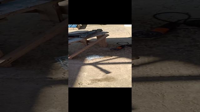 VID_20240819_155520.mp4