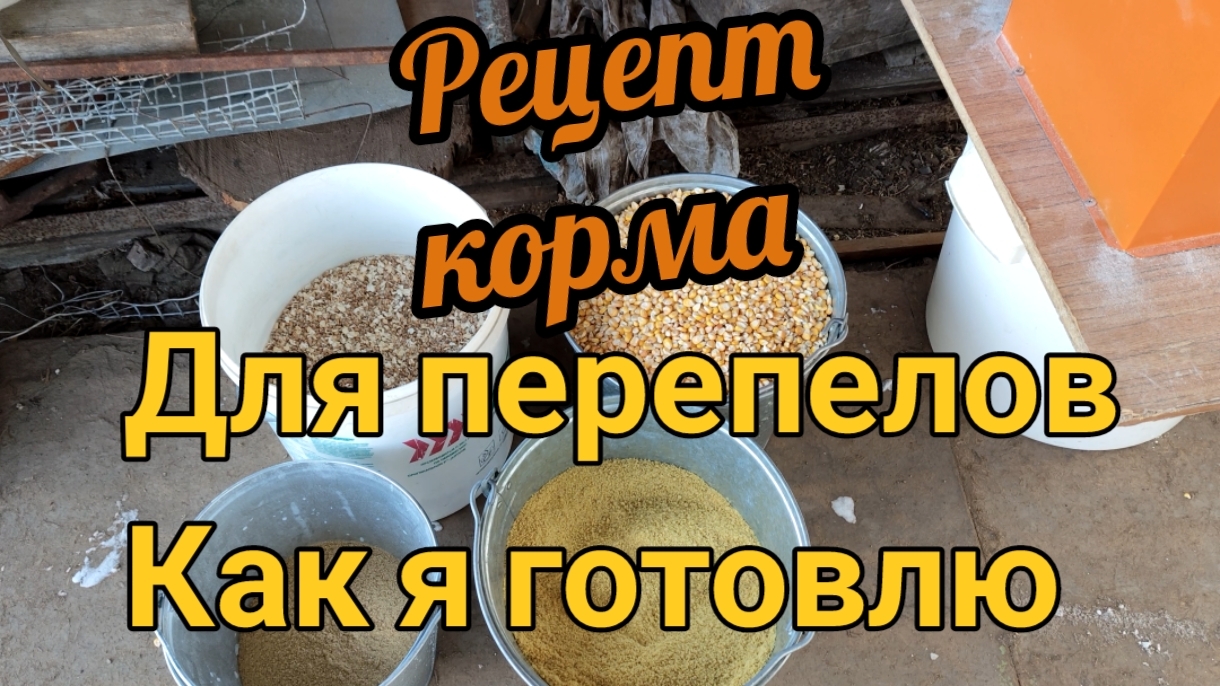 Рецепт корма для перепелов. Как самостоятельно приготовить корм для домашней птицы.