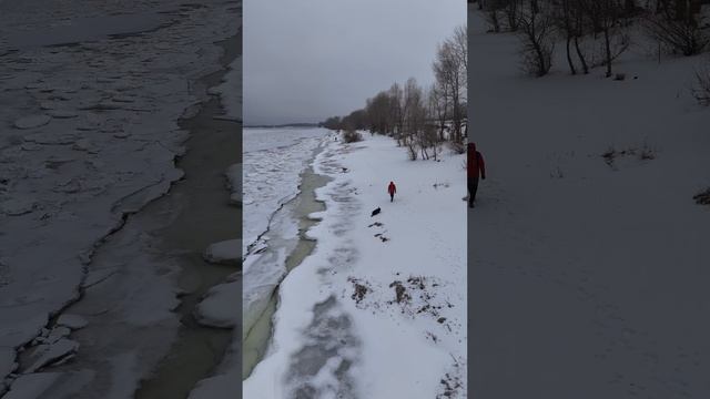 берег Волги у посëлка Фëдоровка