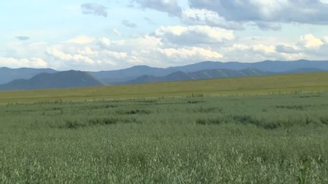 Русская дорога. (И. Растеряев)