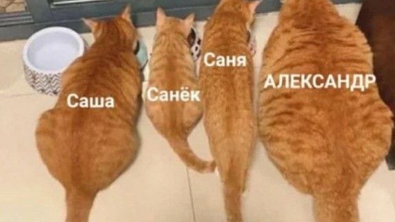 открывание домишима