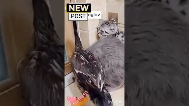 воспитатель года🤣