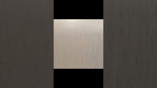 1000006093.mp4