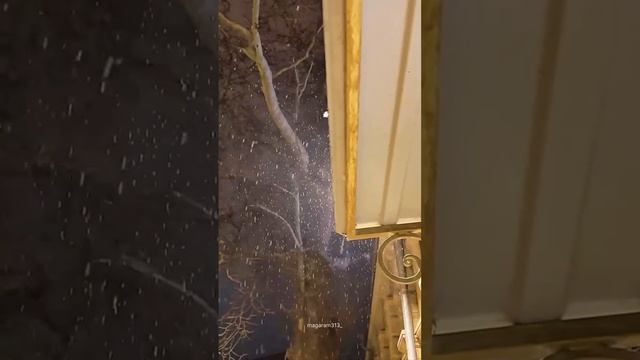 VID-20241226-WA0004.mp4