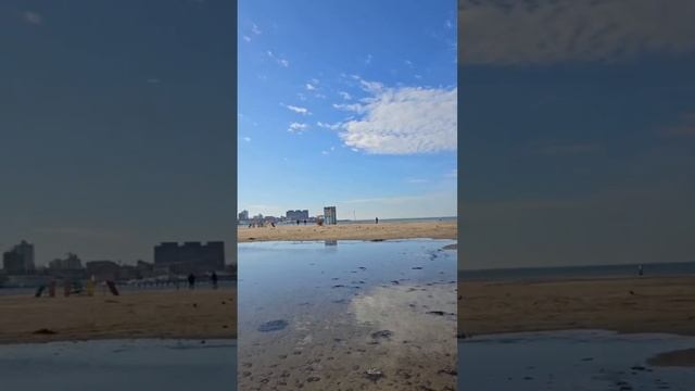 Река Анапка в мазуте