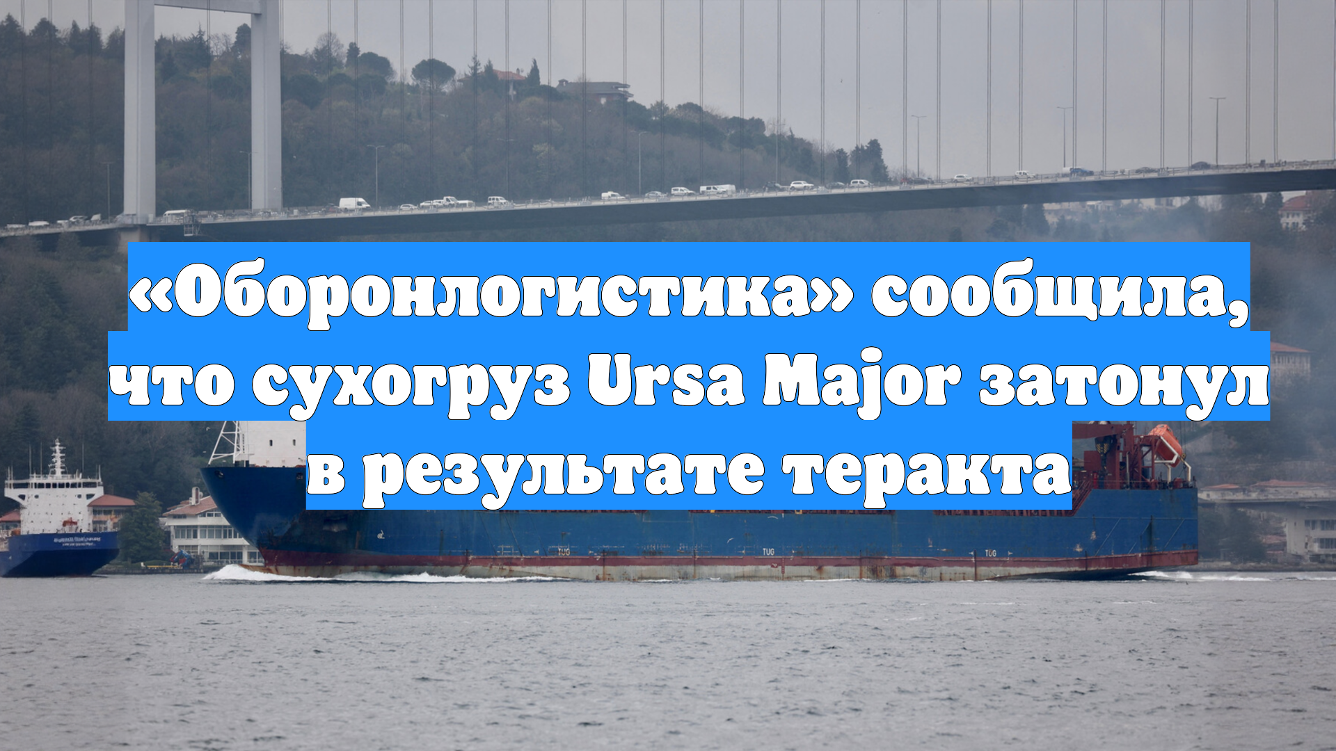 «Оборонлогистика» сообщила, что сухогруз Ursa Major затонул в результате теракта