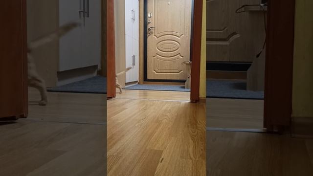 Кушать подано, садитесь жрать пожалуйста 😊