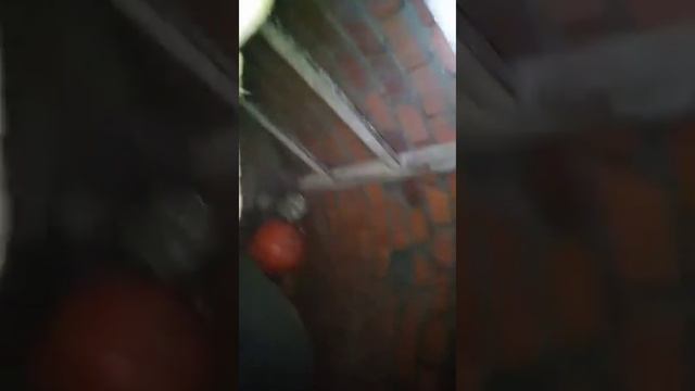 Заброс в силикаты На выходе нас ждал махнатый сюрприз😈