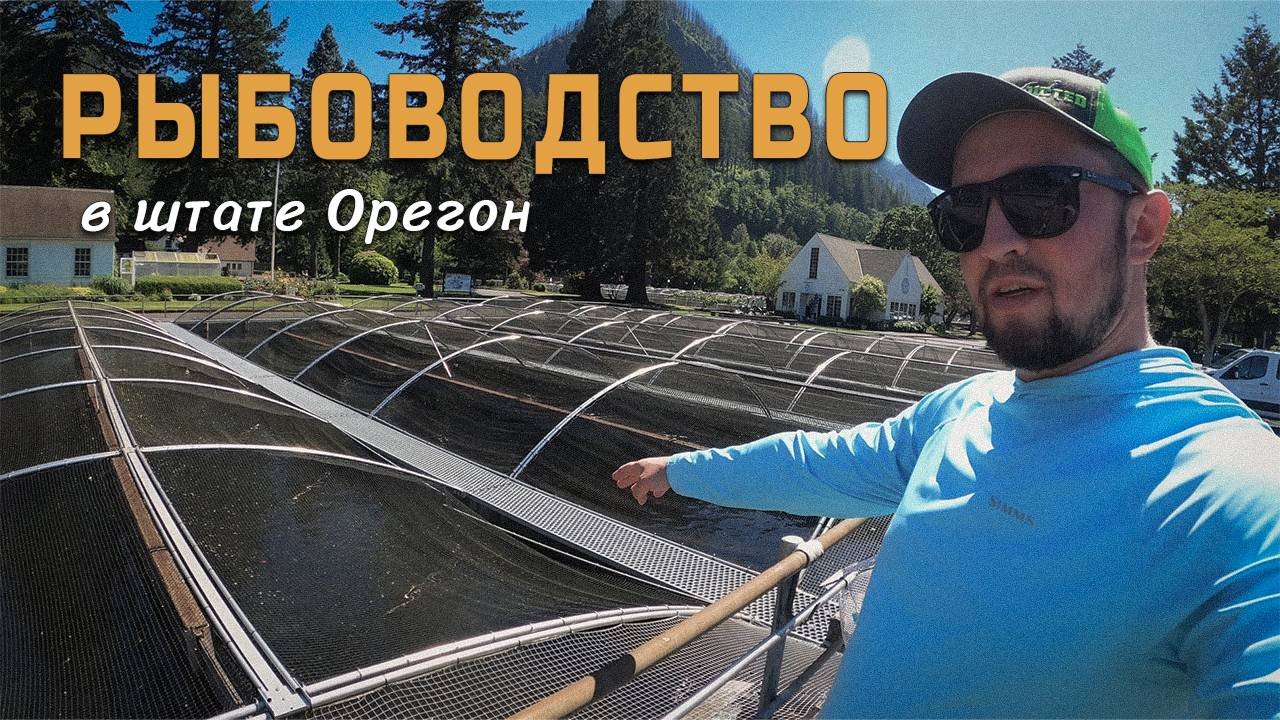 Рыбоводство в США и ловля селедки на реке Колумбия