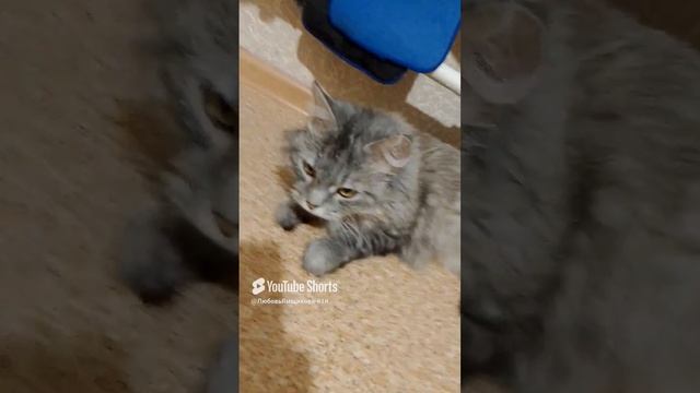 1000006287.mp4