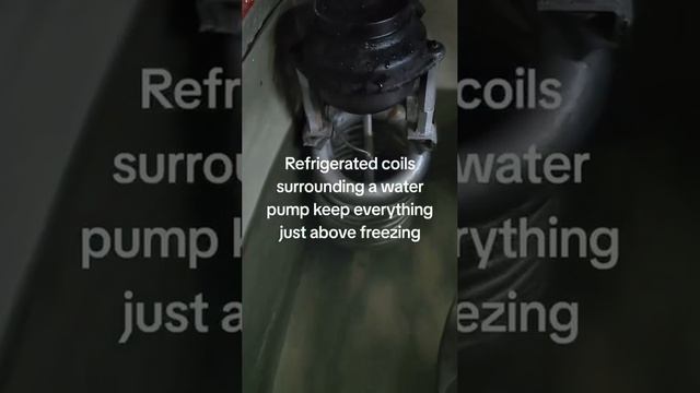 Винтажный вендинговый аппарат Coca-Cola