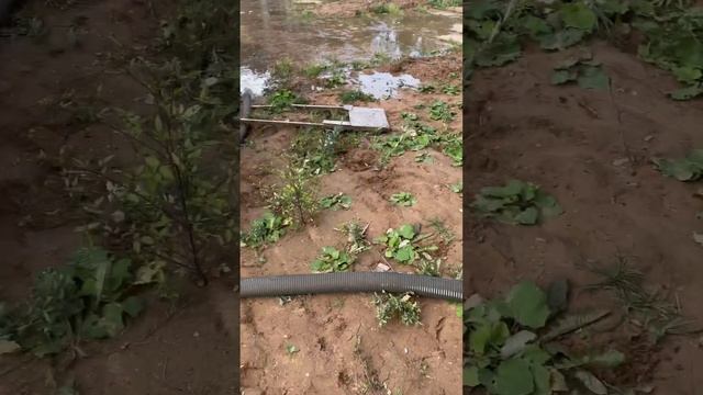 Два приемных люка на ассенизаторе