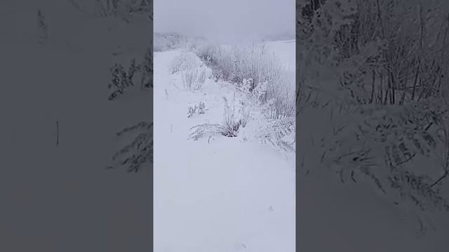 ЗИМНЯЯ СКАЗКА В ВЯТСКИХ ПОЛЯНАХ