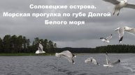 Соловецкие острова. Морская прогулка по губе Долгой Белого моря.