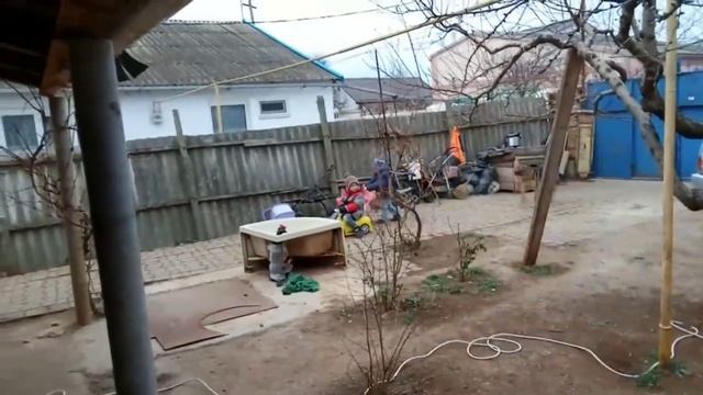 Сельское раздолье для внуков