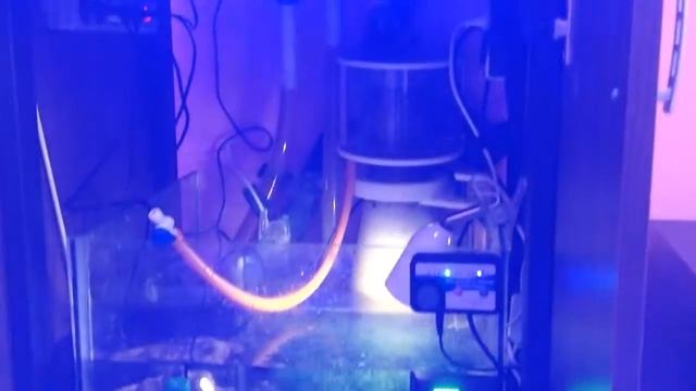 Nano reef tank cube 65x65x60. Start December 2015.