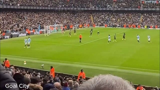 Manchester City vs Everton 1-1