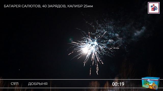 С971 Добрыня