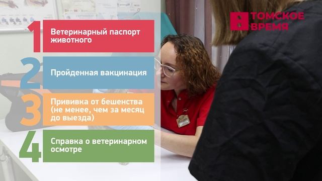 Томичи выбирают путешествия с домашними питомцами