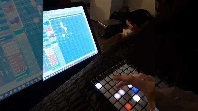 Novation LaunchPad Mini MK3 to MK2 - BRIDGE