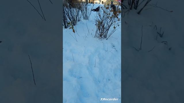 ПИПИНДУРЫ 4 серия (full)