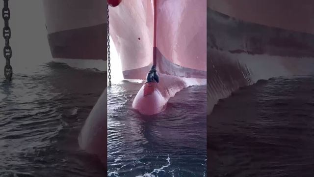 bulb2.mp4