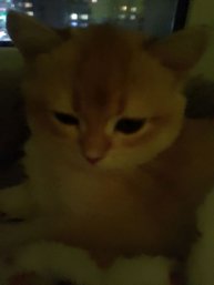 мой котик❤🔥❤🔥❤🔥