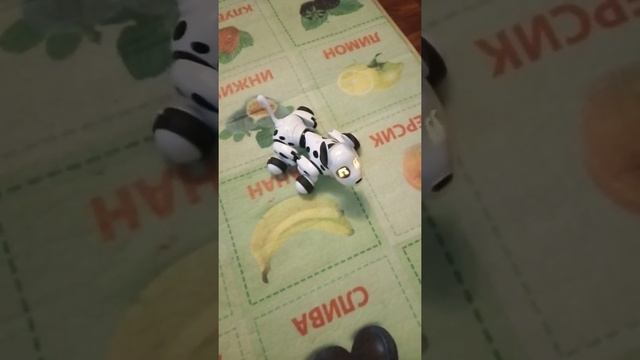 собака робот BlueSea Robot Dog - пукает