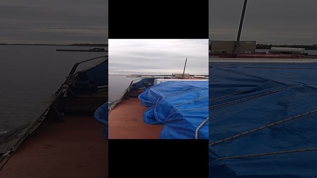1000111637.mp4