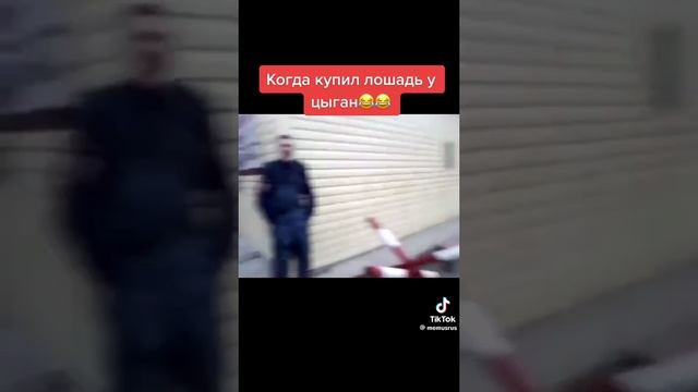 когда купил себе лошадь