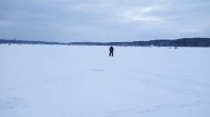 Белоярский беспредел