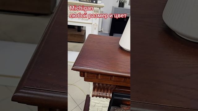 Michigan настоящий электрокамин