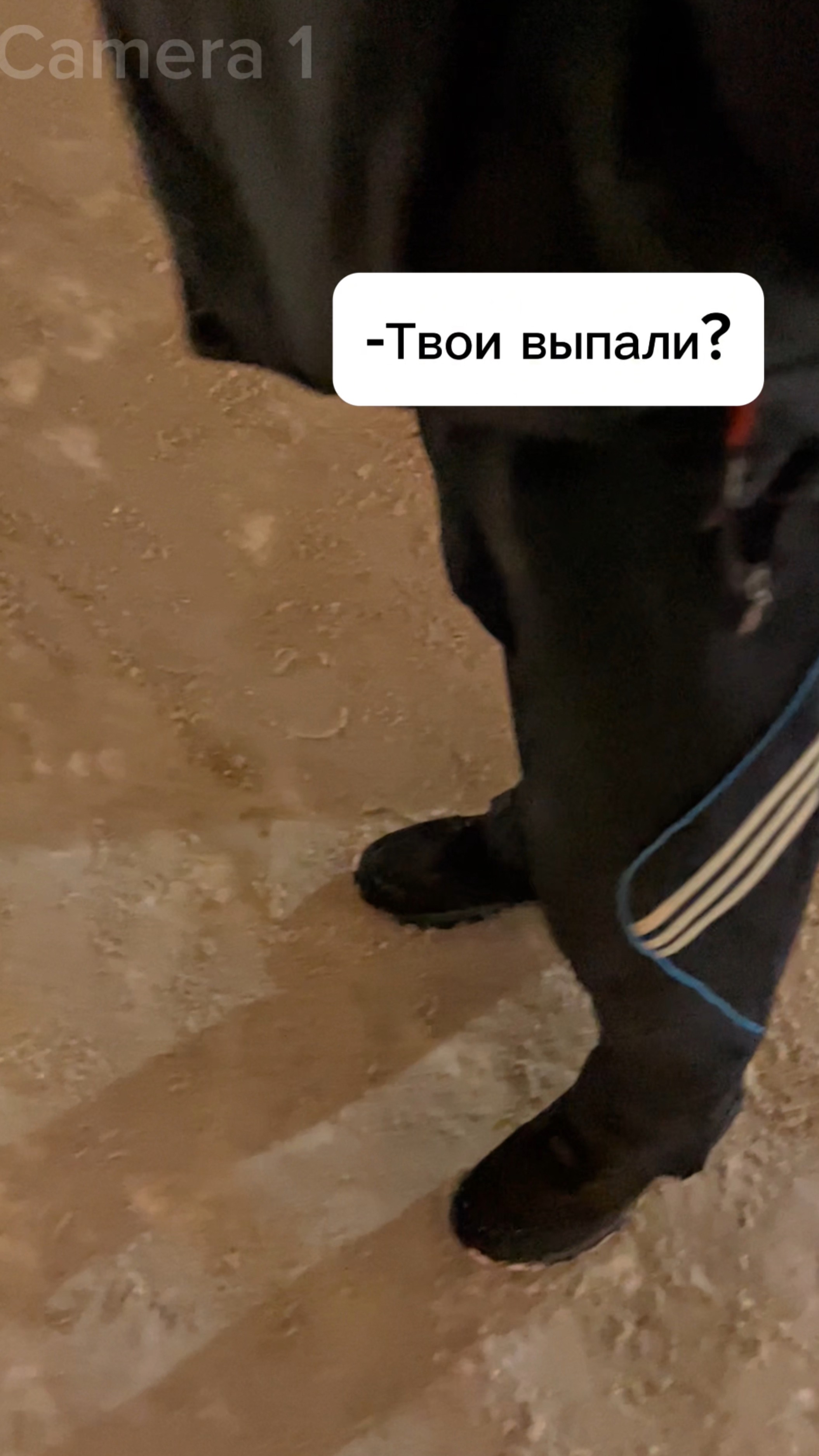 Проверка на честность ч1