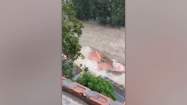 Случаи в природе. Аж дух захватывает