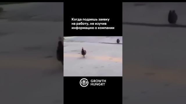 Курочки на улочке