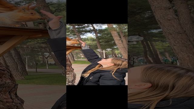 Ручная белочка