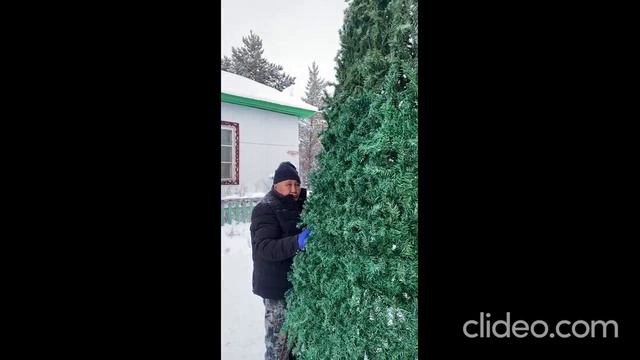 Саҥа дьылга бэлэмнэнии -