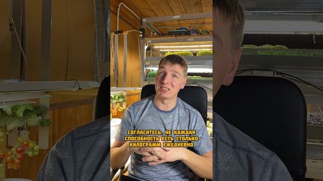 Микрозелень- суперфуд