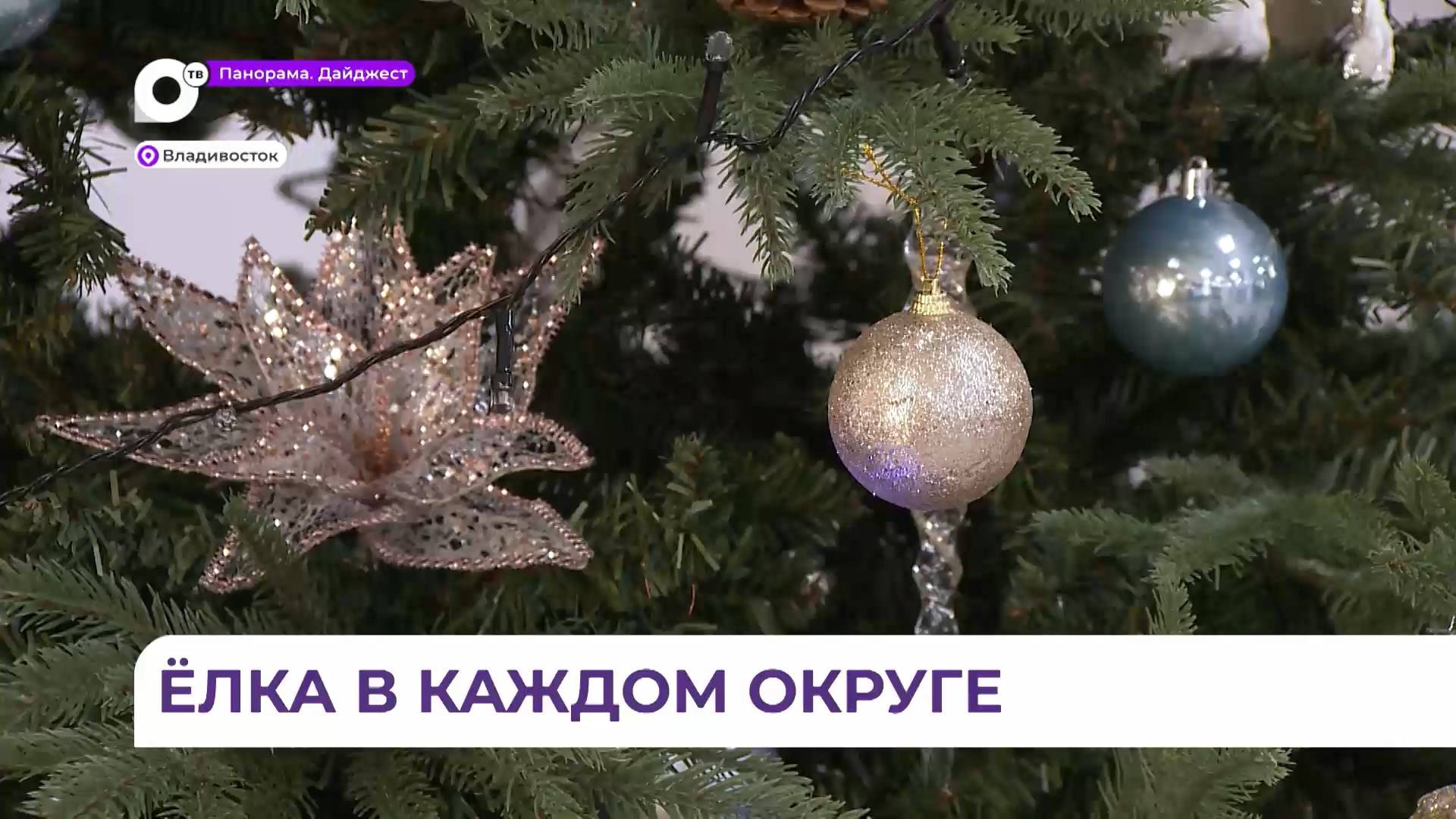 Праздник для детей ветеранов СВО устроили в фонде «Защитники Отечества» во Владивостоке