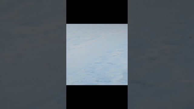 ПИПИНДУРЫ 4 серия (4 часть)
ВОЗРОЖДЕНИЕ