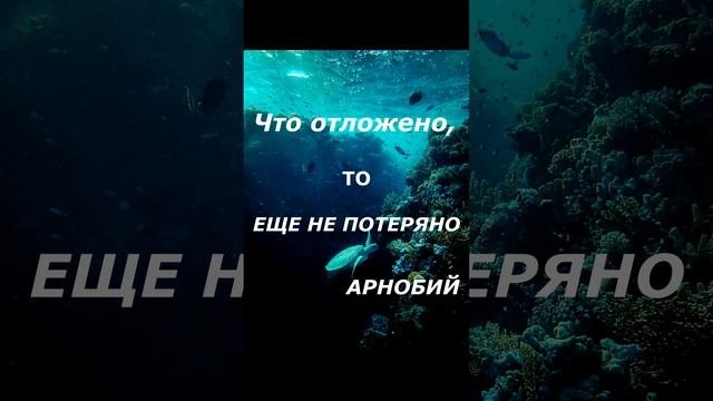 Философские мысли для саморазвития