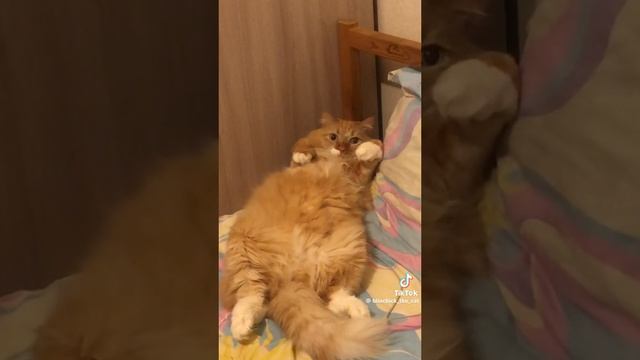 1000005494.mp4