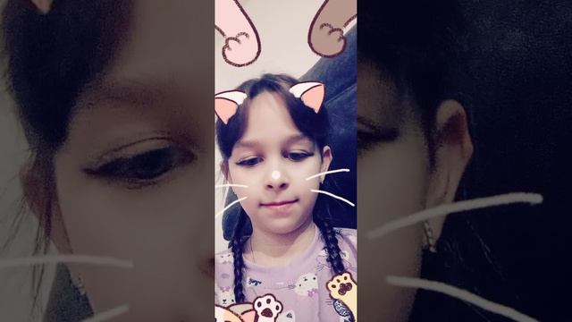 Все должны любить котов 🐱