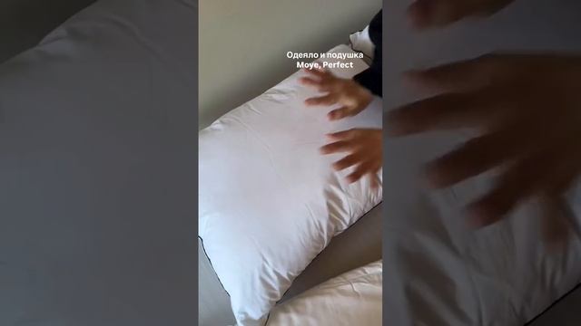 Одеяло, подушка MOYЁ PERFECT